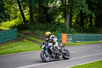 cadwell-no-limits-trackday;cadwell-park;cadwell-park-photographs;cadwell-trackday-photographs;enduro-digital-images;event-digital-images;eventdigitalimages;no-limits-trackdays;peter-wileman-photography;racing-digital-images;trackday-digital-images;trackday-photos